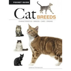 Cat Breeds: Characteristics, Breeds, Care, Origins