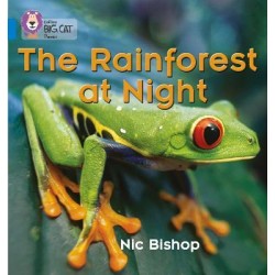 Big Cat Phonics 4 The Rainforest at Night. 