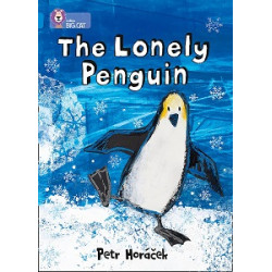 Big Cat  4 The Lonely Penguin.