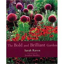 The Bold and Brilliant Garden