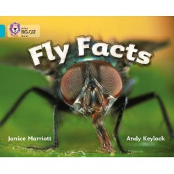 Big Cat  7 Fly Facts. Workbook.