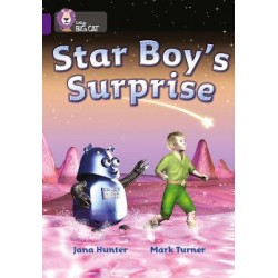 Big Cat  8 Star Boy's Surprise. Workbook. 