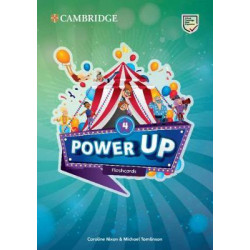 Power Up Level 4 Flashcards (Pack of 185)