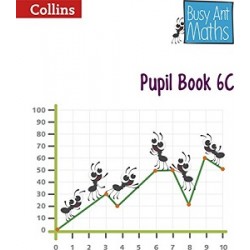 Busy Ant Maths 6C Pupil Book