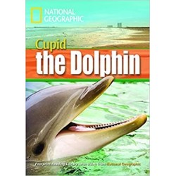 FRL1600 B1 Cupid the Dolphin