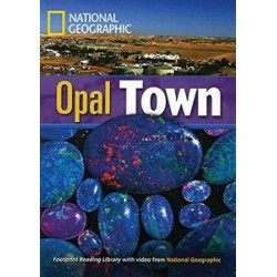 FRL1900 B2 Opal Town with Multi-ROM 