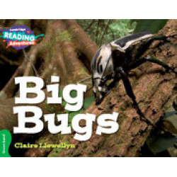 CRA Big Bugs Green Band