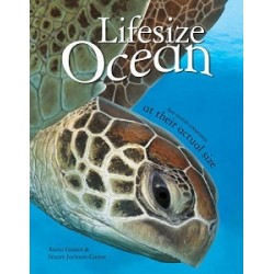 Lifesize Ocean