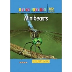 I Love Reading: 550 Words. Minibeasts