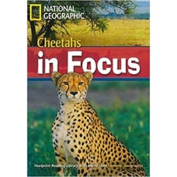 FRL2200 B2 Cheetahs in Focus! 