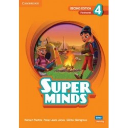 Super Minds  2nd Edition 4 Flashcards British English