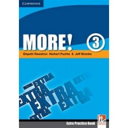 More! 3 Extra Practice Book