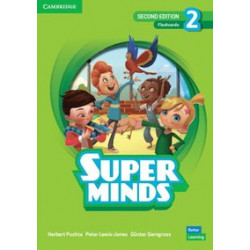 Super Minds  2nd Edition 2 Flashcards British English (pack of 214)