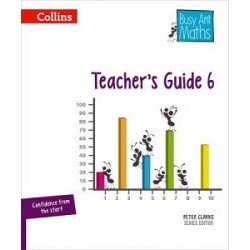 Busy Ant Maths 6 Teacher's Guide 