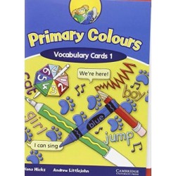 Primary Colours 1 Vocabulary Cards