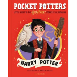 Pocket Potters: Harry Potter